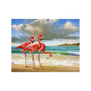 Diamond Dot

Flamingos on the Beach